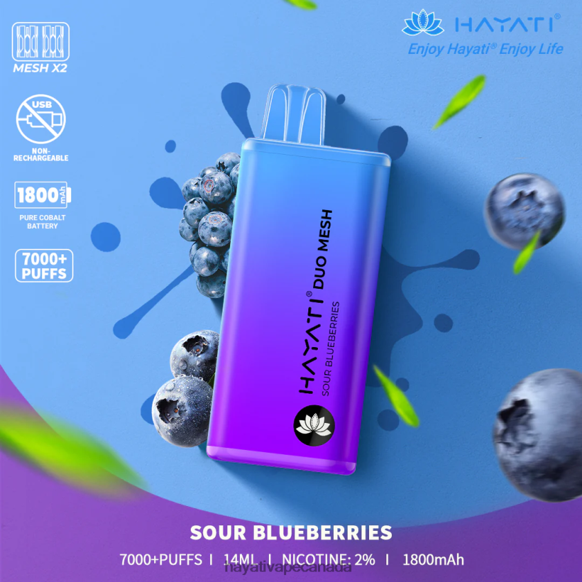 Hayati Vape Shop - 2LHDP8189 Hayati Duo Mesh Disposable Sour Blueberries