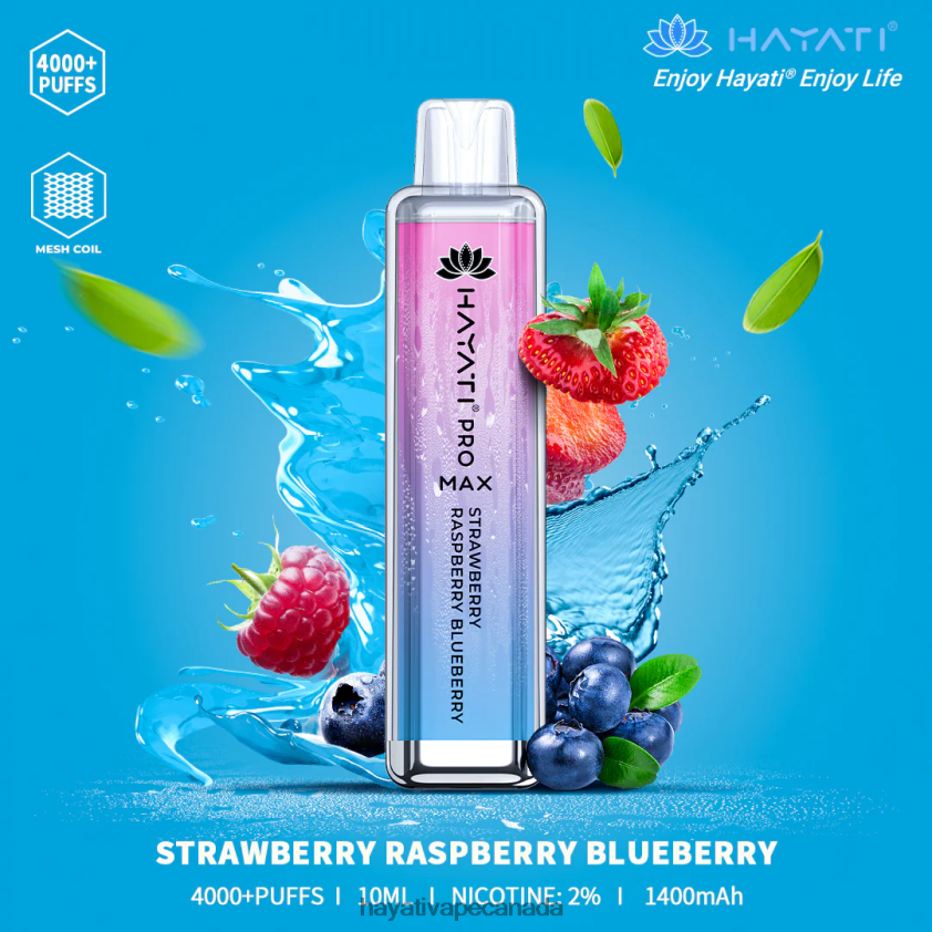 Hayati Ottawa - 2LHDP8141 Hayati Pro Max Disposable Strawberry Raspberry Blueberry