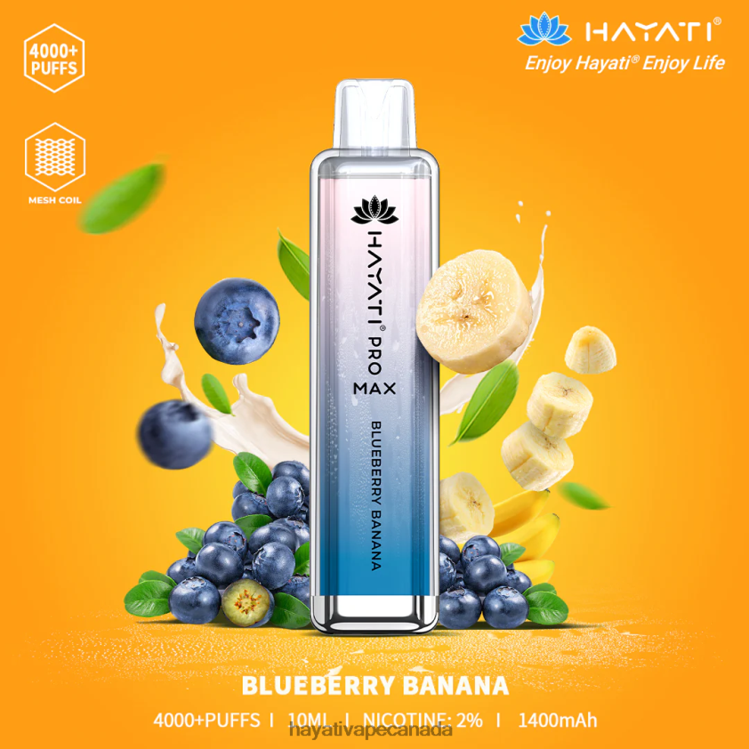 Hayati Price Canada - 2LHDP8138 Hayati Pro Max Disposable Blueberry Banana