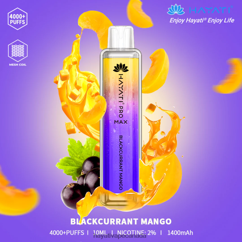 Hayati Vape Canada - 2LHDP892 Hayati Pro Max Disposable Blackcurrant Mango