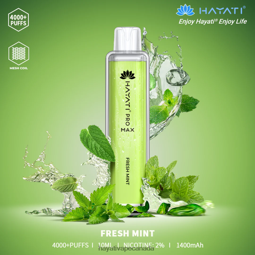 Hayati Vape Flavours - 2LHDP8104 Hayati Pro Max Disposable Fresh Mint