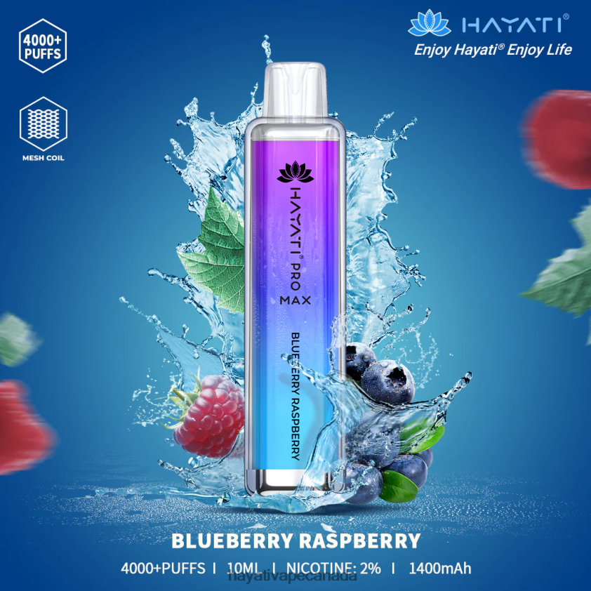 Hayati Vape Shop - 2LHDP899 Hayati Pro Max Disposable Blueberry Raspberry