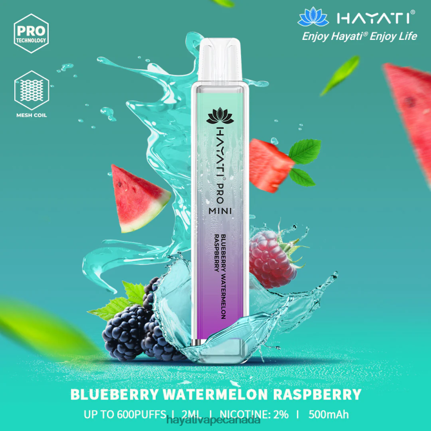 Hayati Vape Liquid - 2LHDP825 Hayati Pro Mini Disposable Blueberry Watermelon Raspberry