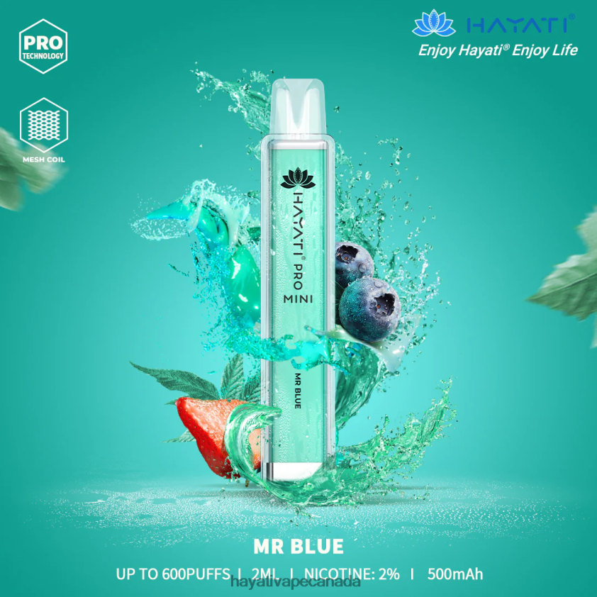 Hayati Vape Review - 2LHDP816 Hayati Pro Mini Disposable Mr Blue
