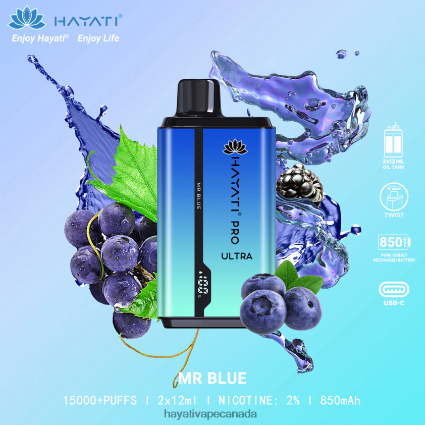 Hayati Vapes Wholesale - 2LHDP8207 Hayati Pro Ultra Disposable 15000 Puffs Mr Blue