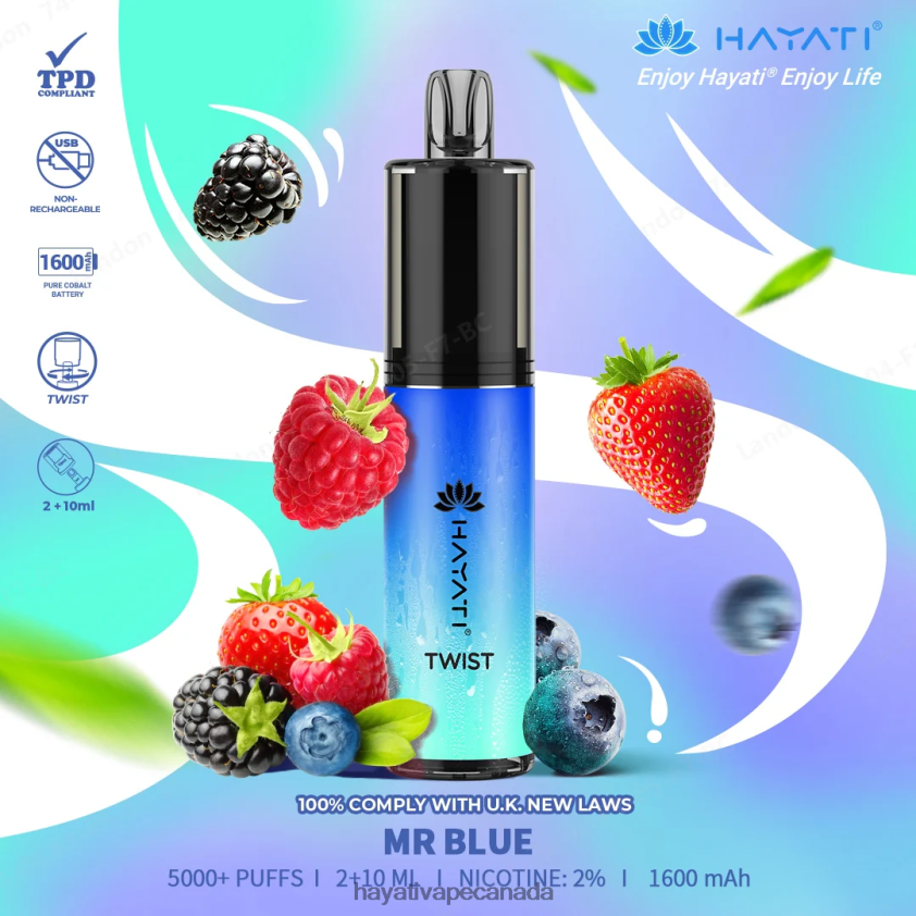 Hayati Vapes Wholesale - 2LHDP877 Hayati Twist Disposable Mr Blue