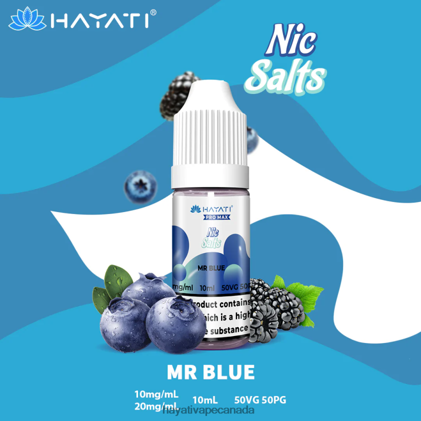 Hayati Ottawa - 2LHDP8251 Hayati Pro Max Nic Salts Mr Blue