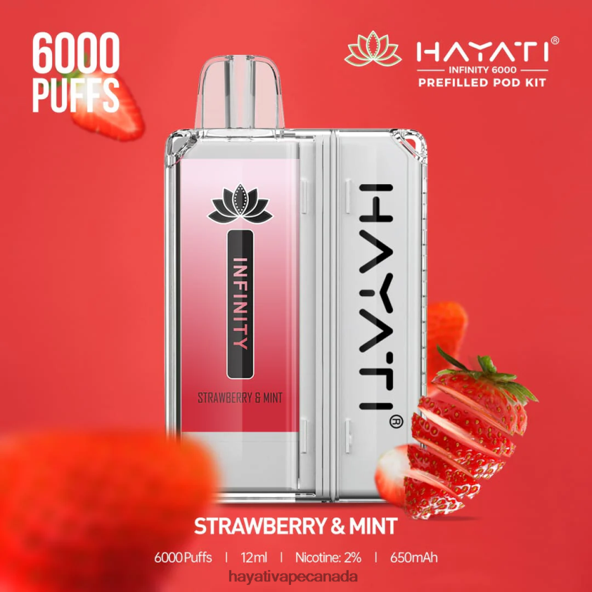 Hayati Vape Canada - 2LHDP8160 Hayati Infinity 6000 Pod Kits Strawberry & Mint
